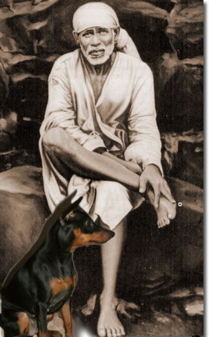 Information about Shirdi Sai Baba Life History. Sri Shirdi Sai Baba is one of the greatest saints ever born in India and has millions of devotees all over the World.